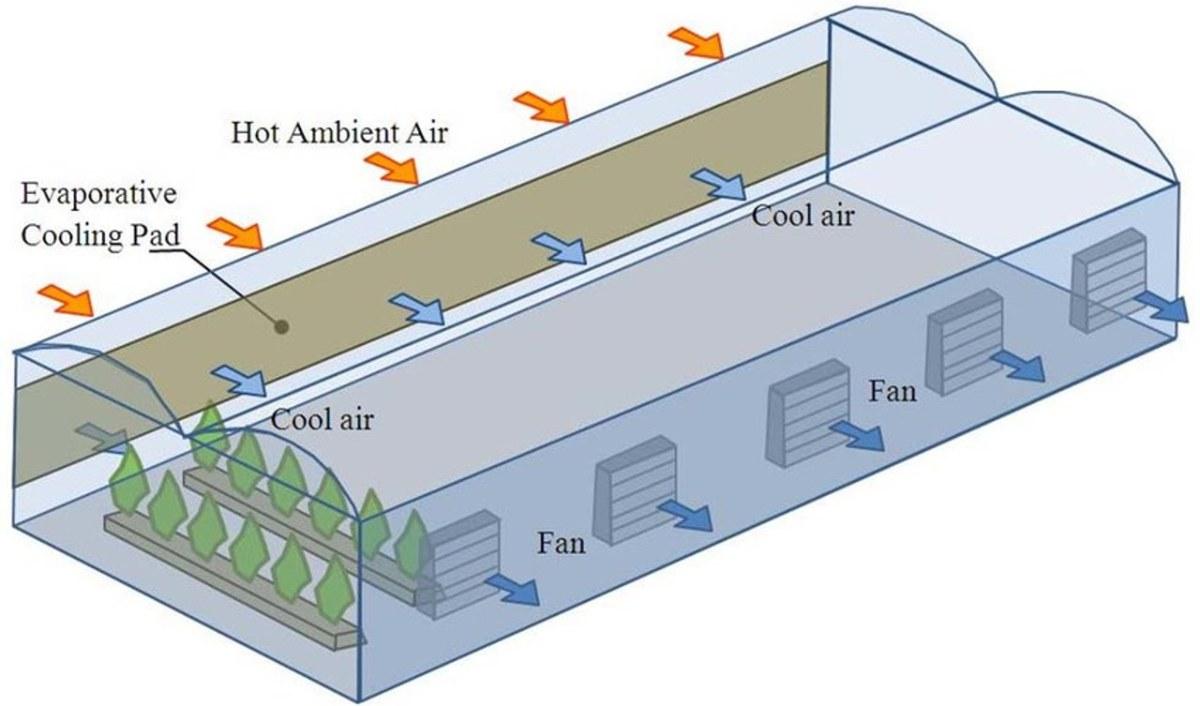 Minh họa kỹ thuật hệ thống làm mát bằng hơi nước